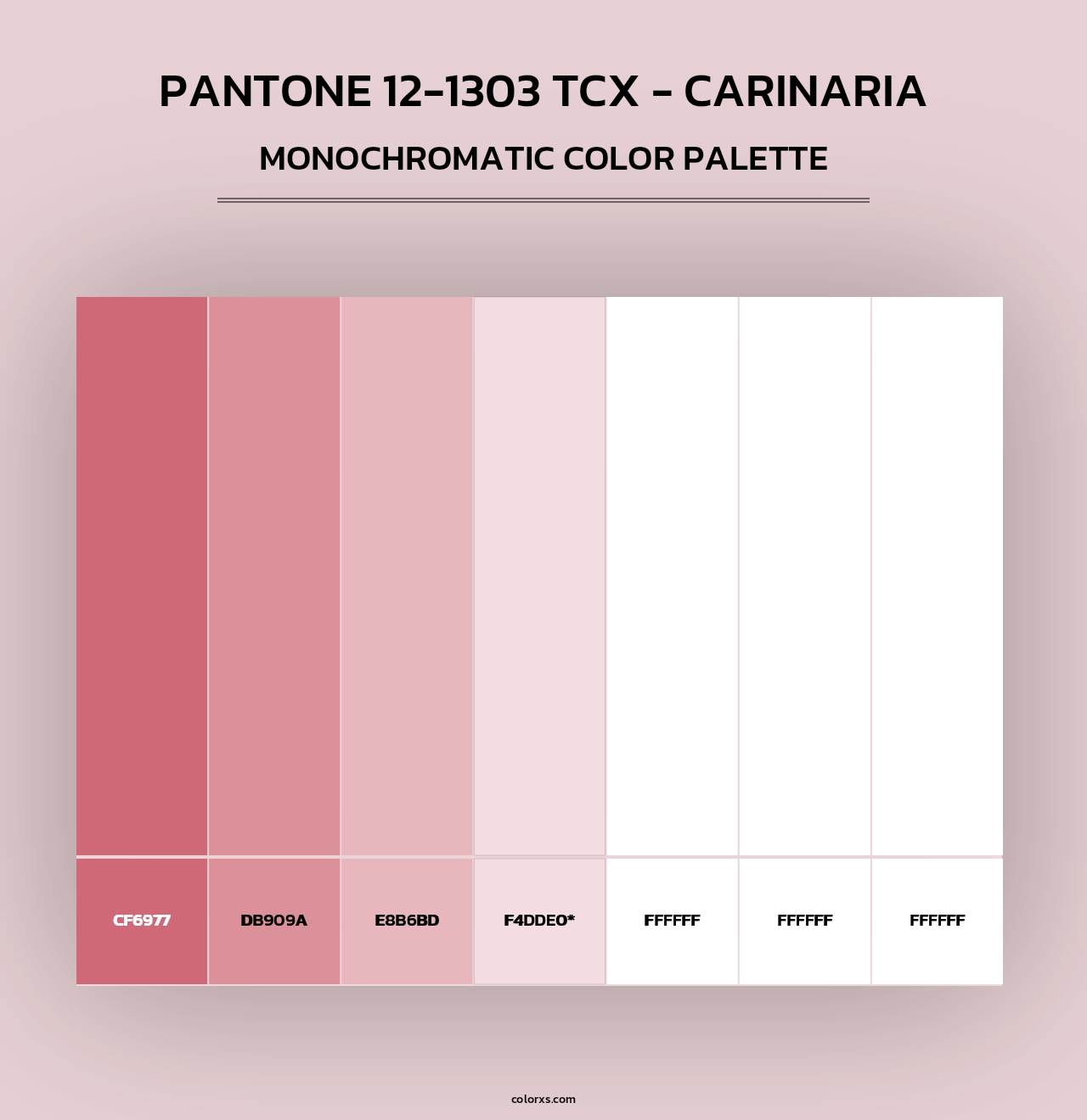 PANTONE 12-1303 TCX - Carinaria - Monochromatic Color Palette