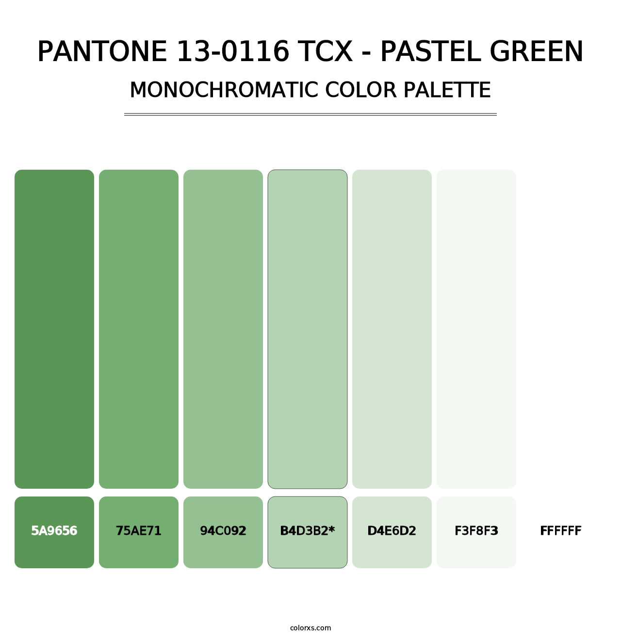 PANTONE 13-0116 TCX - Pastel Green - Monochromatic Color Palette