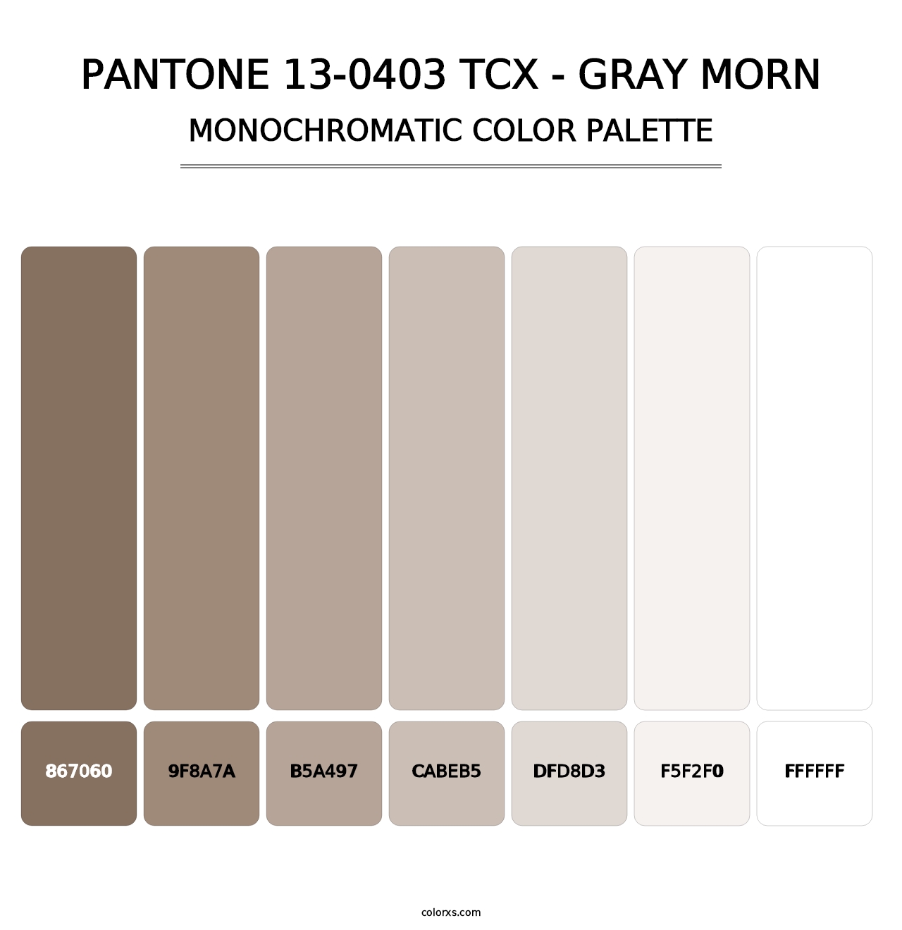 PANTONE 13-0403 TCX - Gray Morn - Monochromatic Color Palette