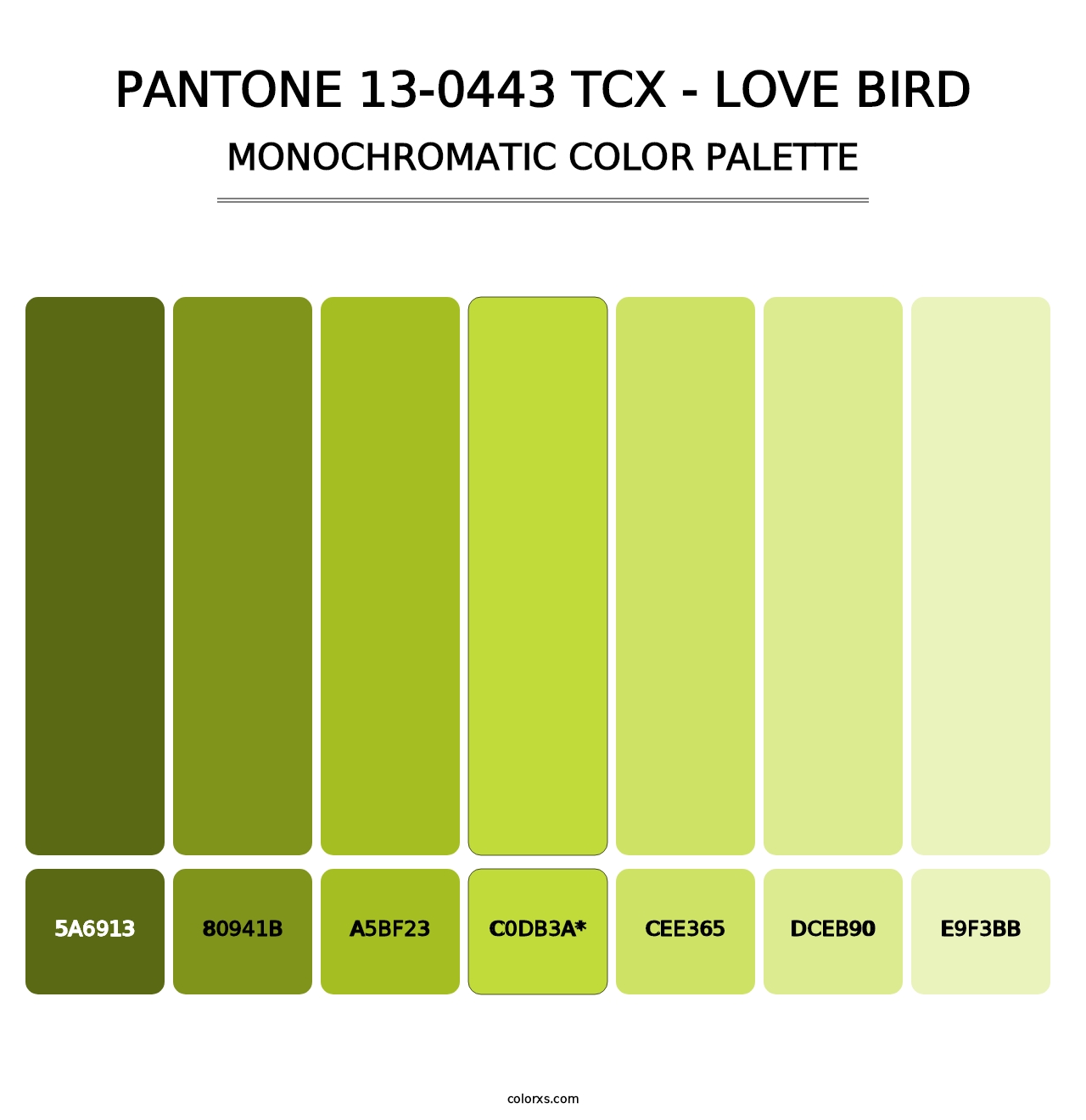 PANTONE 13-0443 TCX - Love Bird - Monochromatic Color Palette