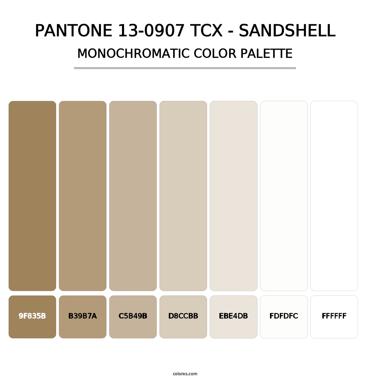 PANTONE 13-0907 TCX - Sandshell - Monochromatic Color Palette
