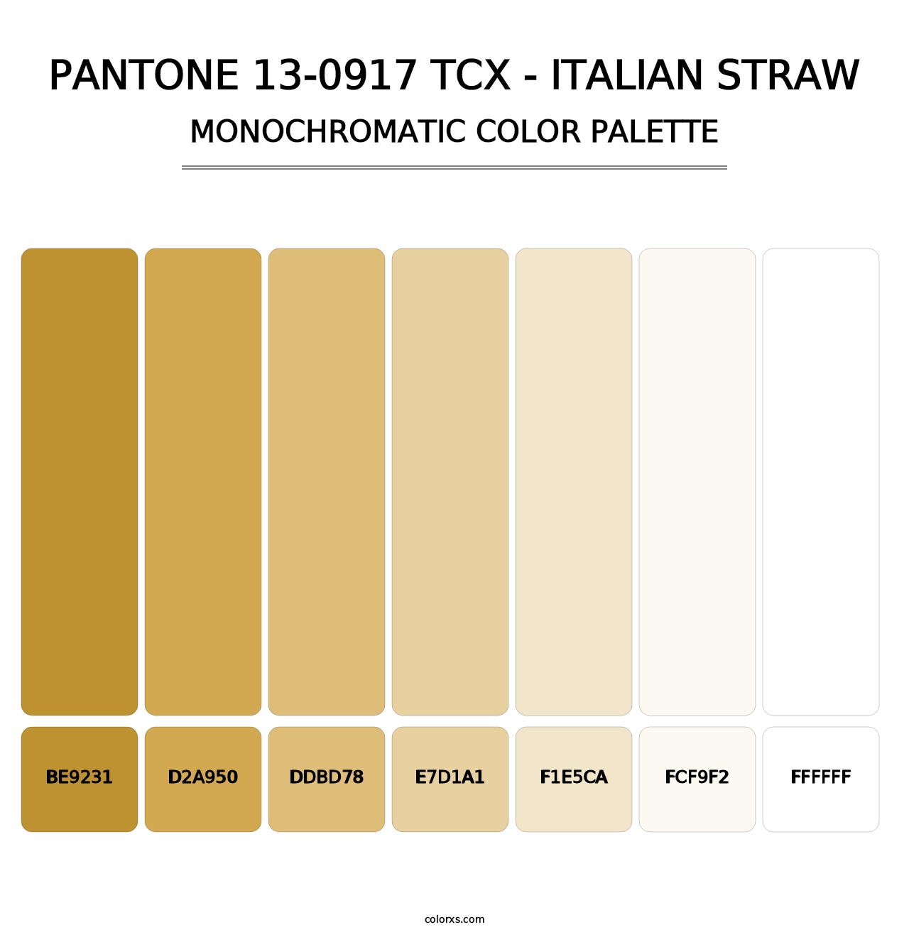 PANTONE 13-0917 TCX - Italian Straw - Monochromatic Color Palette