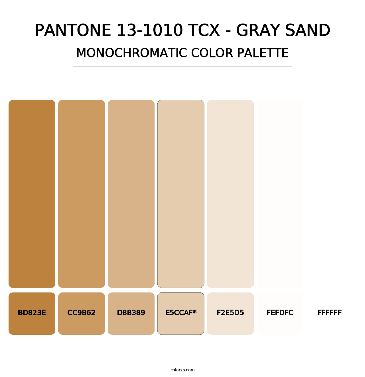 PANTONE 13-1010 TCX - Gray Sand - Monochromatic Color Palette
