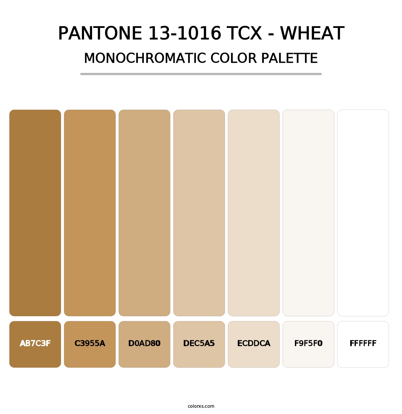 PANTONE 13-1016 TCX - Wheat - Monochromatic Color Palette