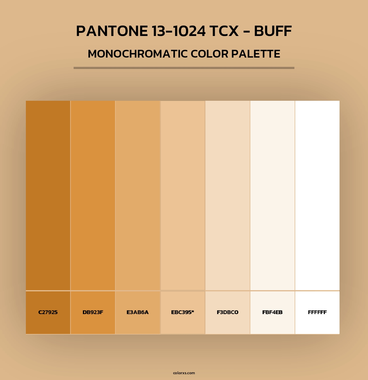 PANTONE 13-1024 TCX - Buff - Monochromatic Color Palette