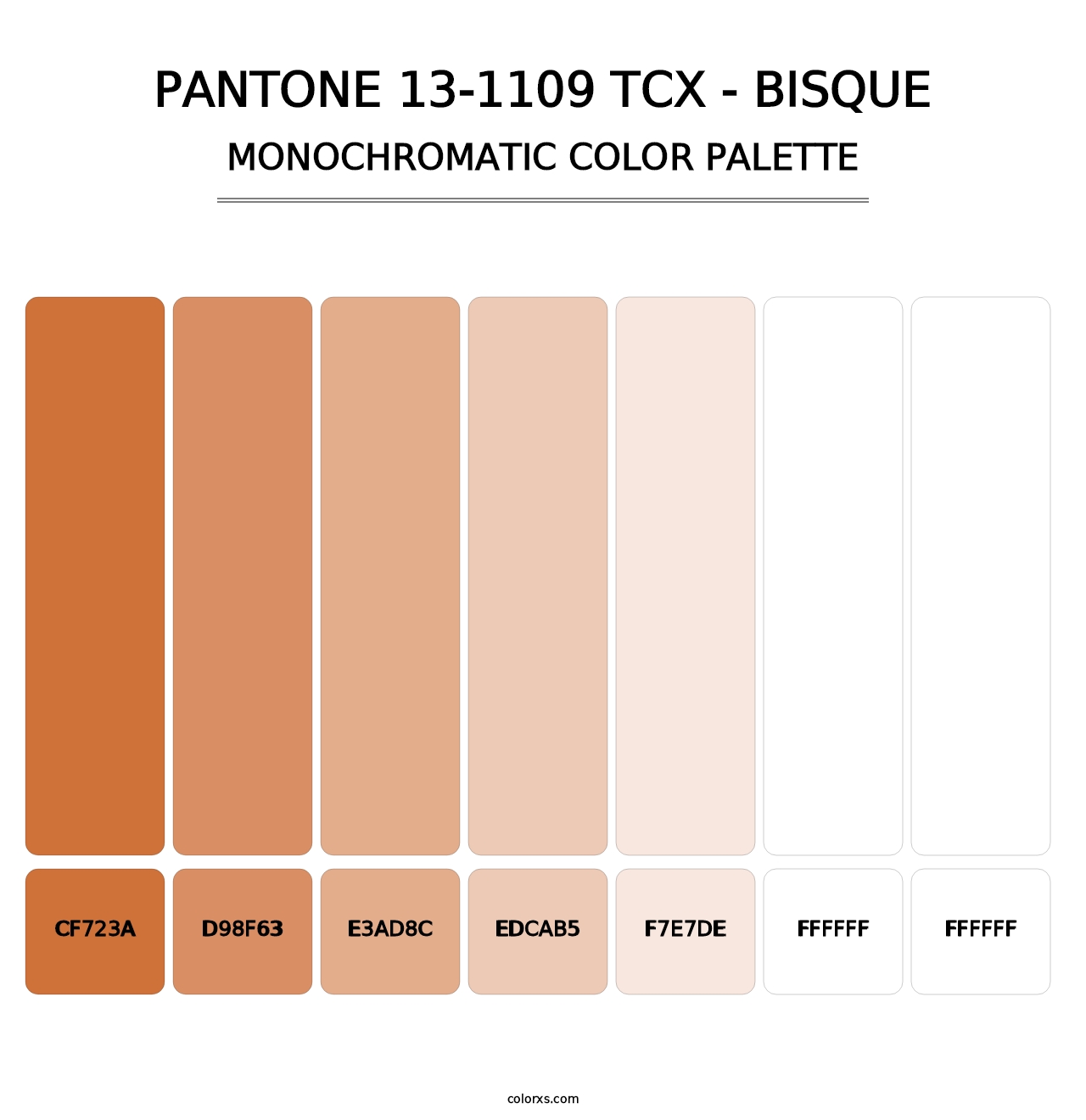 PANTONE 13-1109 TCX - Bisque - Monochromatic Color Palette