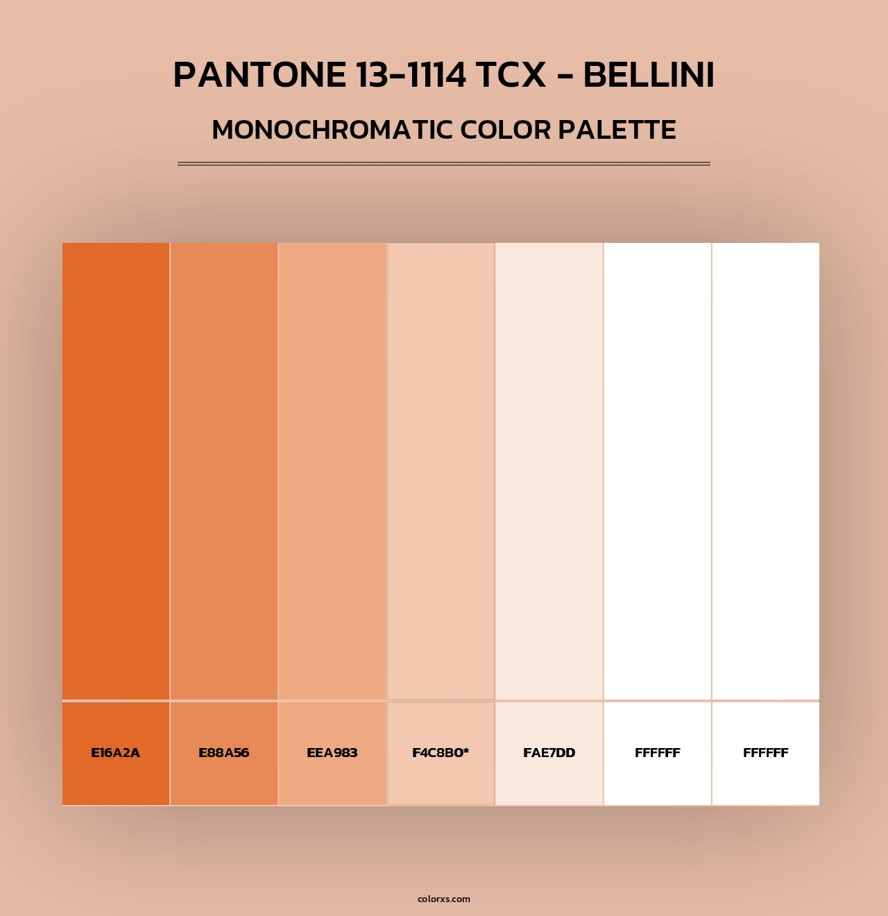 PANTONE 13-1114 TCX - Bellini - Monochromatic Color Palette