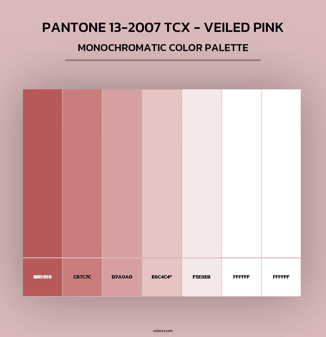 PANTONE 13-2007 TCX - Veiled Pink - Monochromatic Color Palette