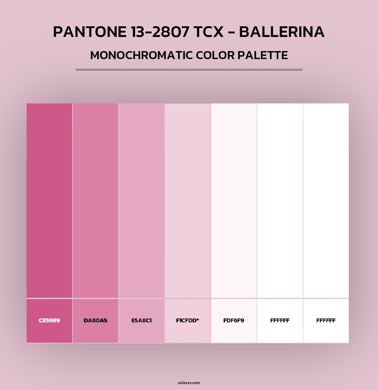 PANTONE 13-2807 TCX - Ballerina - Monochromatic Color Palette