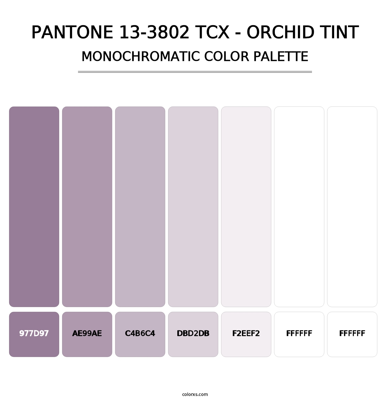PANTONE 13-3802 TCX - Orchid Tint - Monochromatic Color Palette