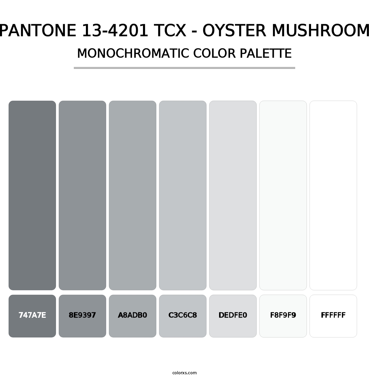 PANTONE 13-4201 TCX - Oyster Mushroom - Monochromatic Color Palette