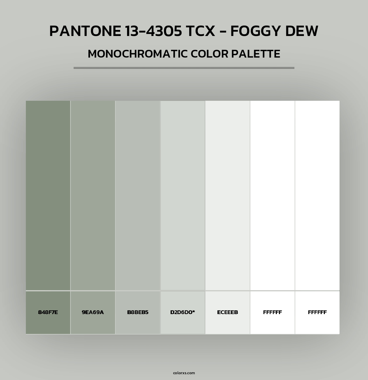 PANTONE 13-4305 TCX - Foggy Dew - Monochromatic Color Palette