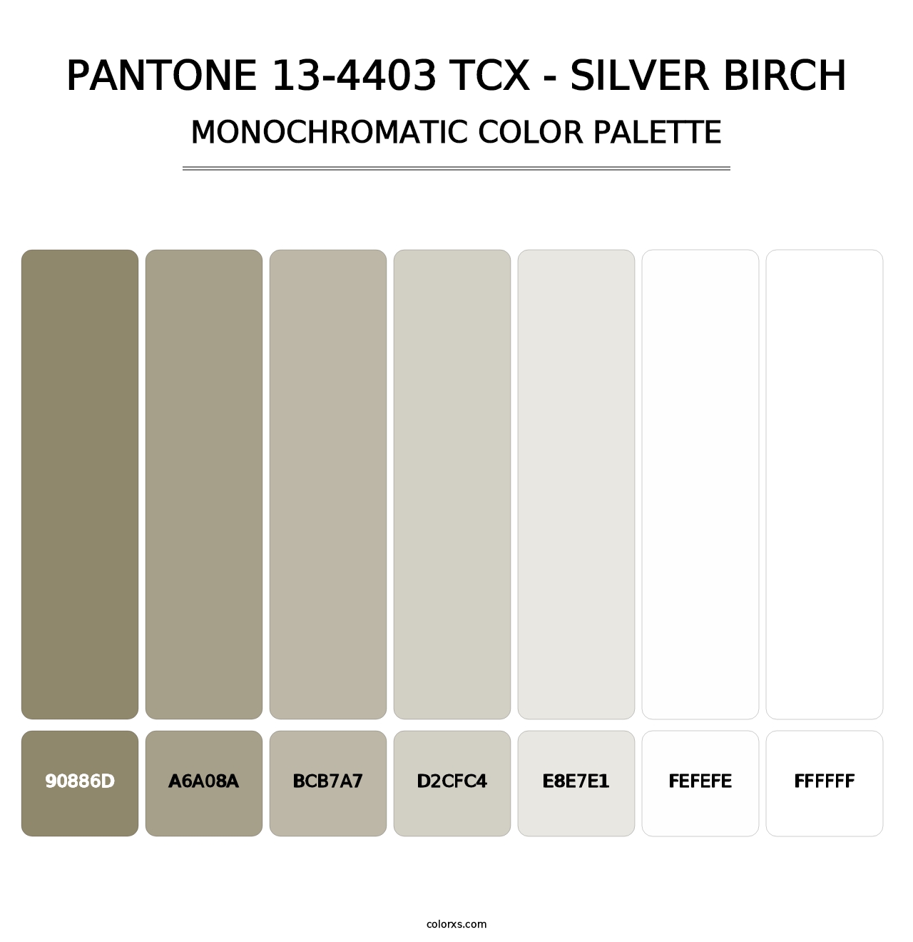 PANTONE 13-4403 TCX - Silver Birch - Monochromatic Color Palette