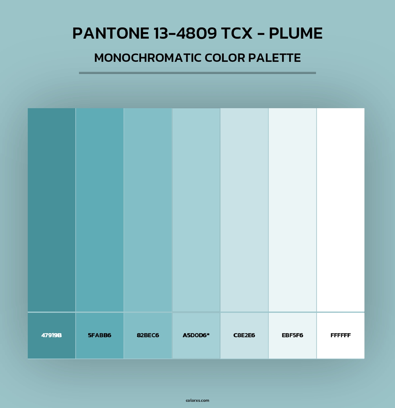 PANTONE 13-4809 TCX - Plume - Monochromatic Color Palette