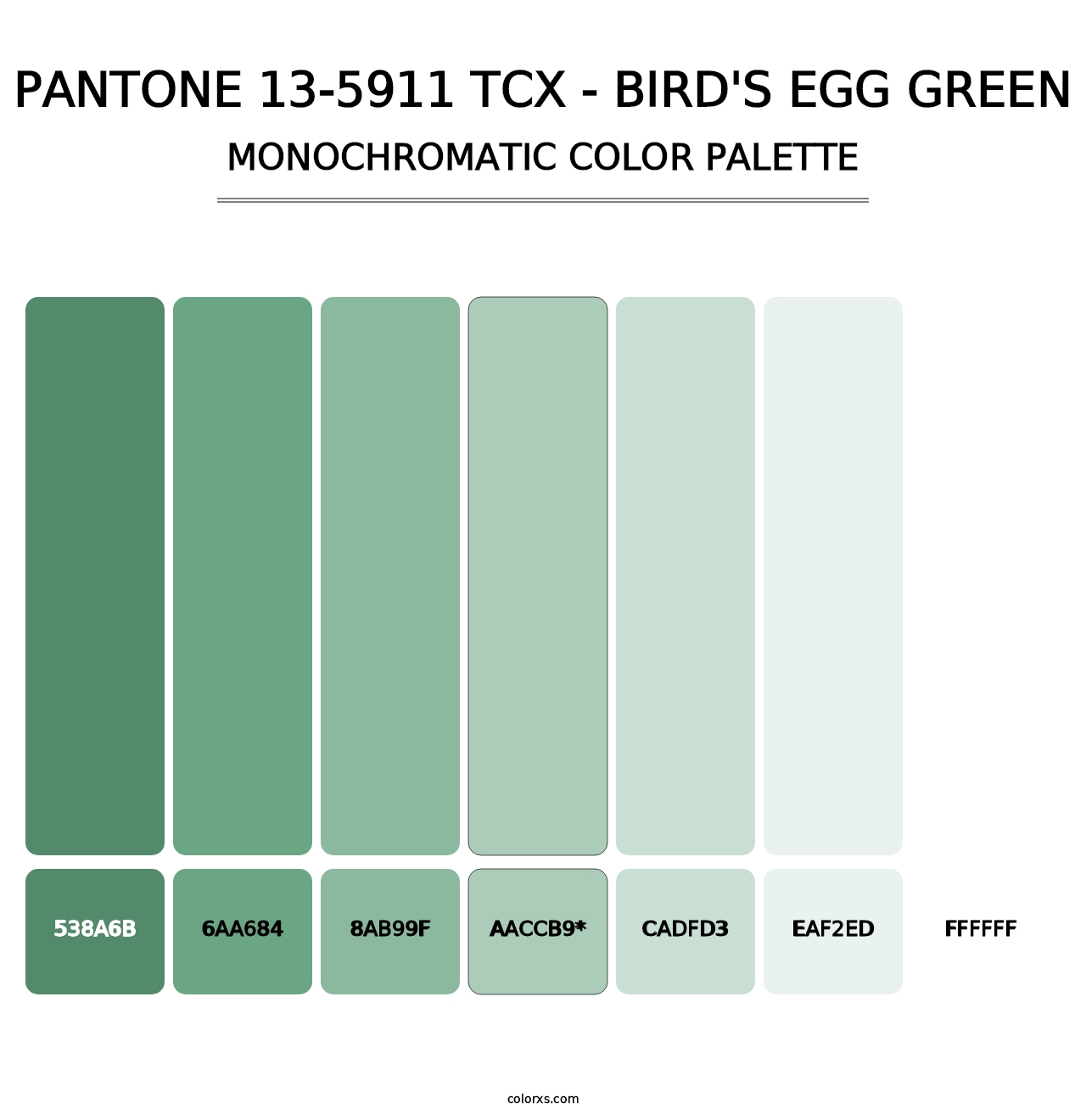 PANTONE 13-5911 TCX - Bird's Egg Green - Monochromatic Color Palette