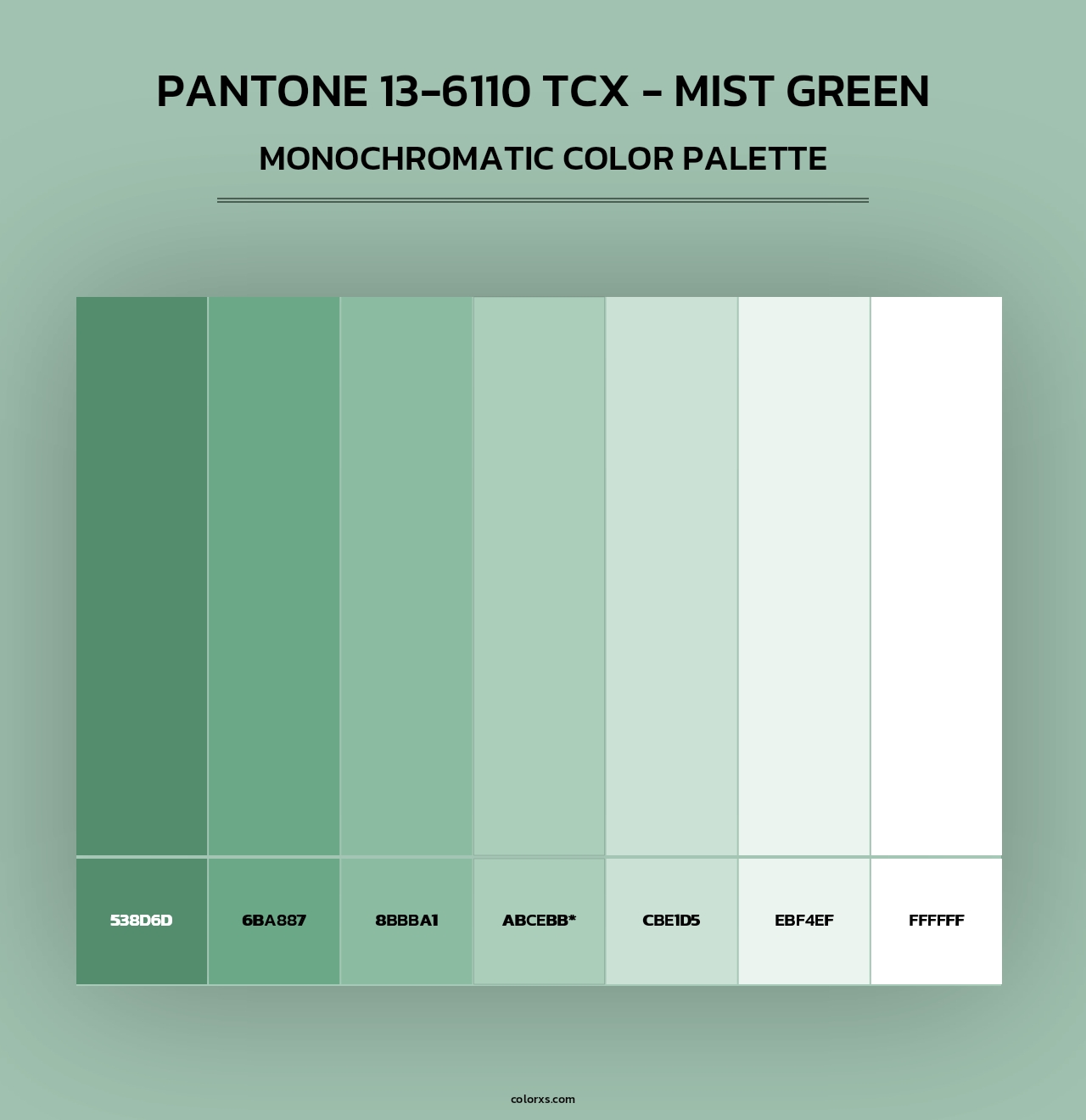PANTONE 13-6110 TCX - Mist Green - Monochromatic Color Palette