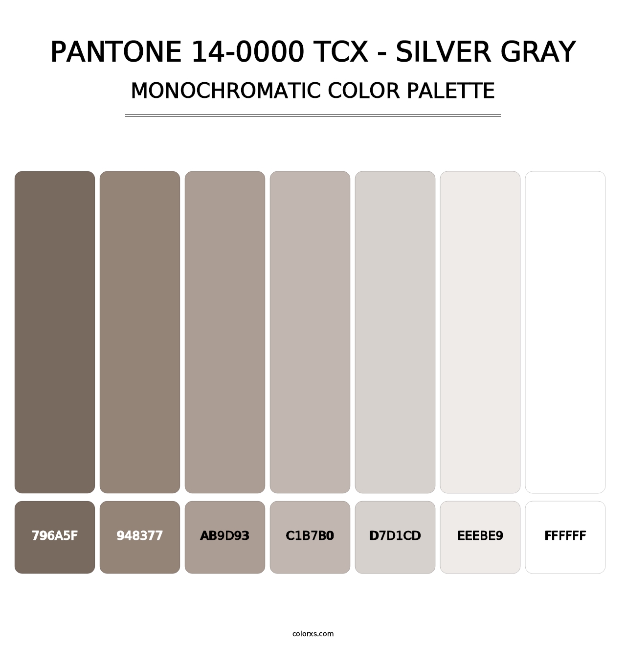 PANTONE 14-0000 TCX - Silver Gray - Monochromatic Color Palette