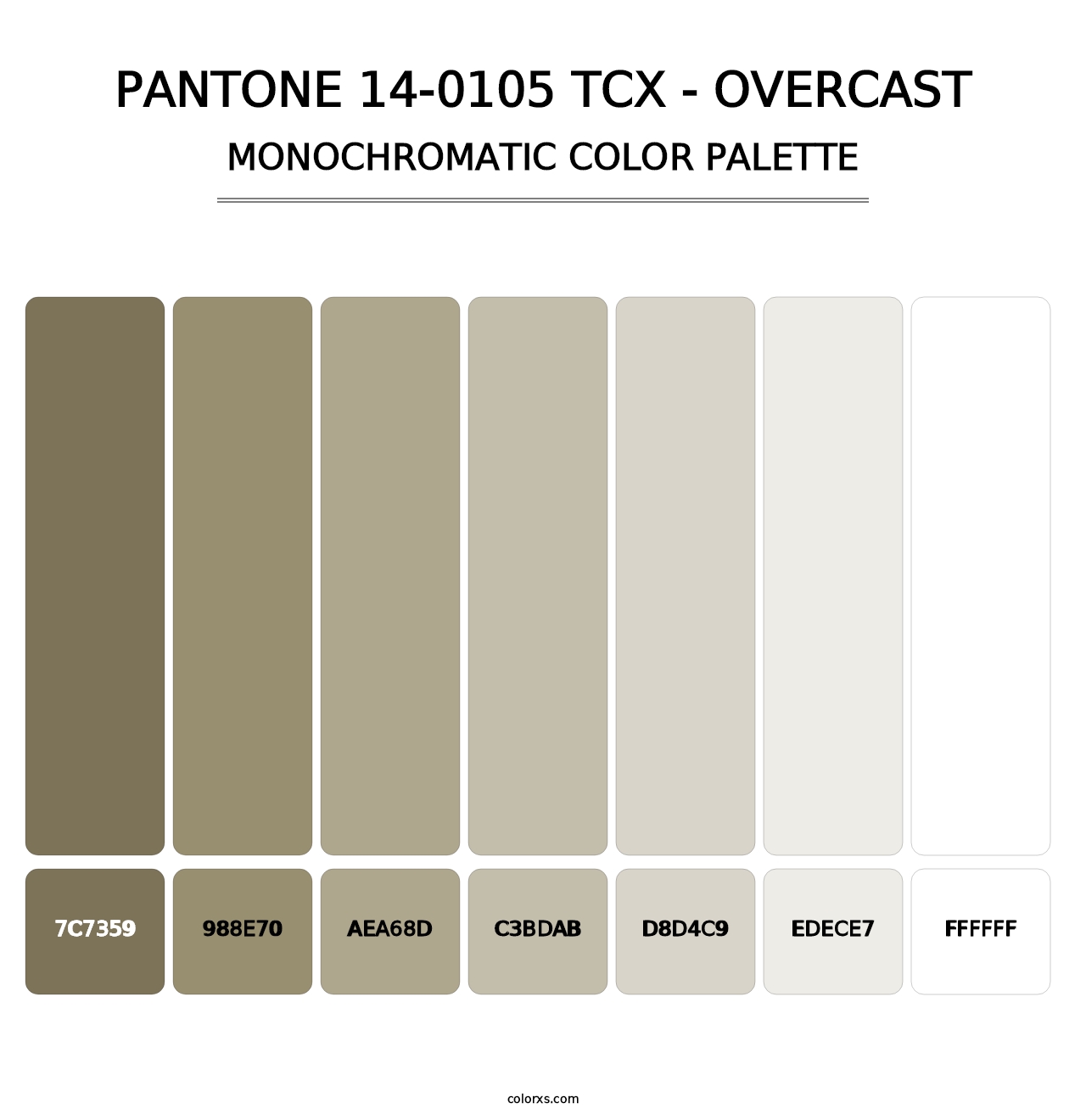 PANTONE 14-0105 TCX - Overcast - Monochromatic Color Palette