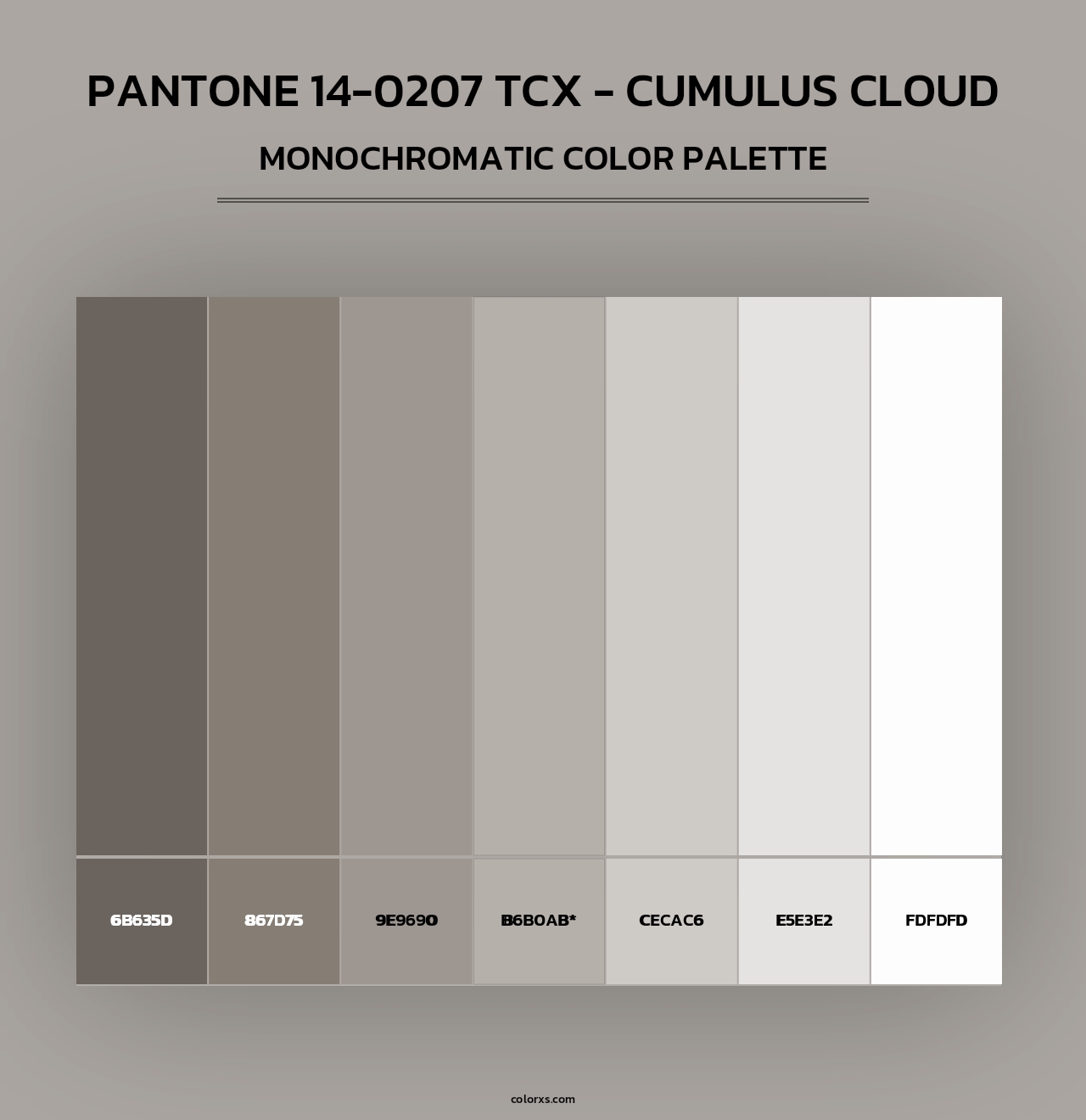 PANTONE 14-0207 TCX - Cumulus Cloud - Monochromatic Color Palette