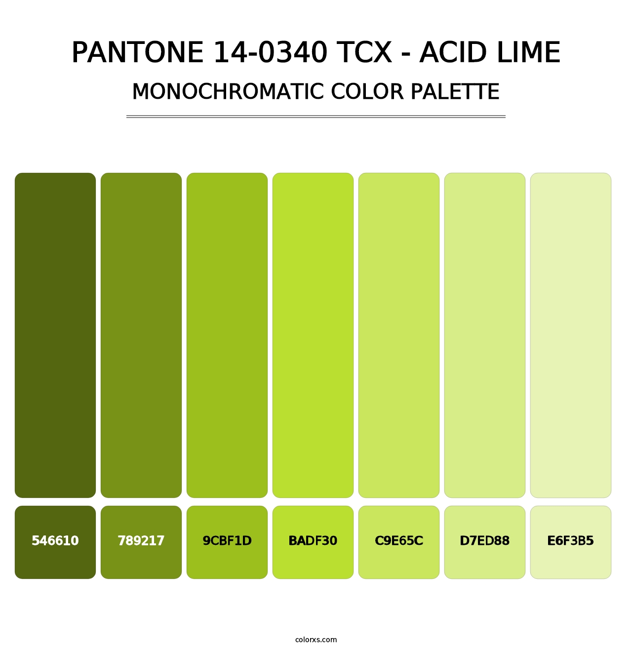 PANTONE 14-0340 TCX - Acid Lime - Monochromatic Color Palette