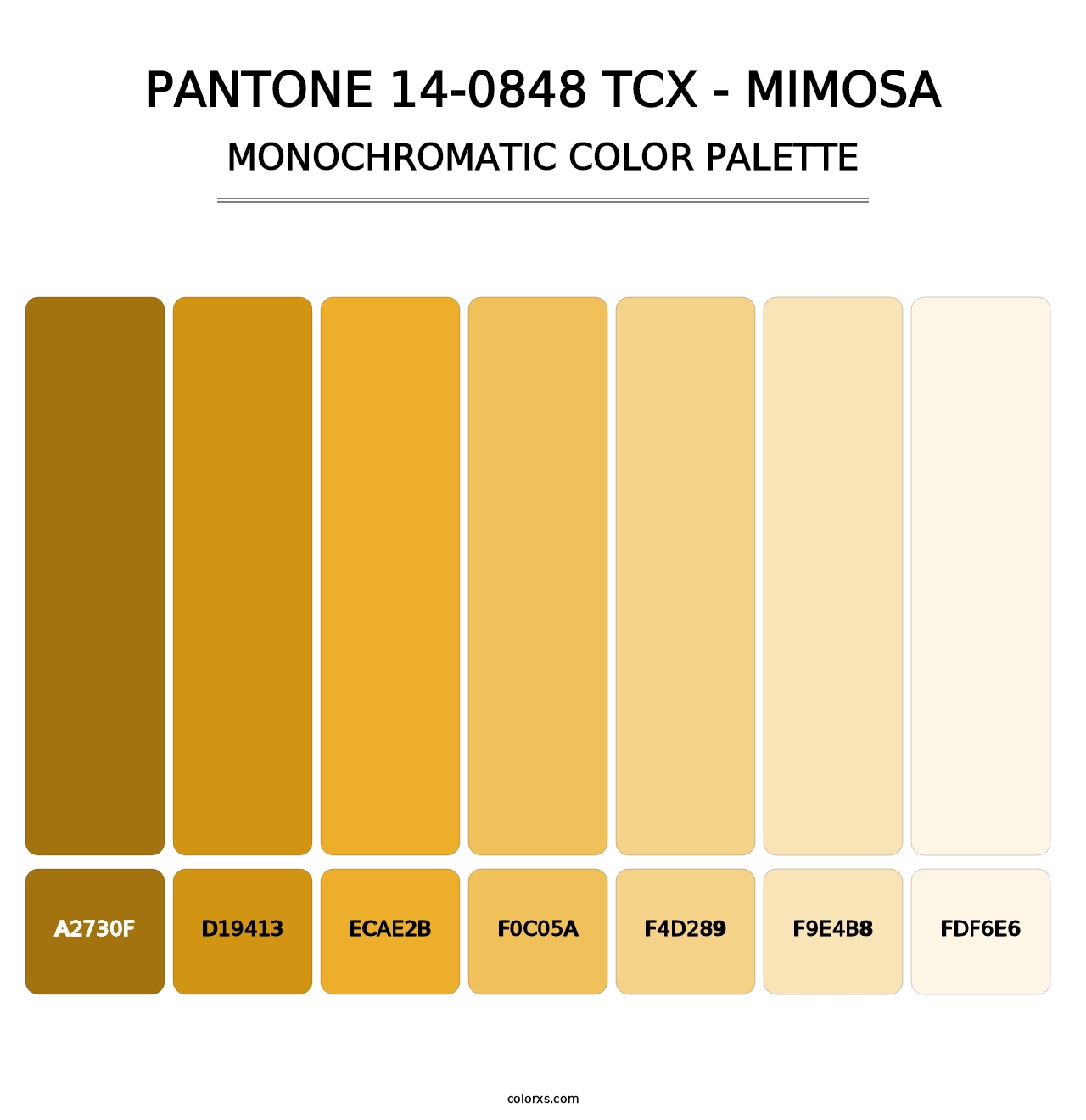 PANTONE 14-0848 TCX - Mimosa - Monochromatic Color Palette