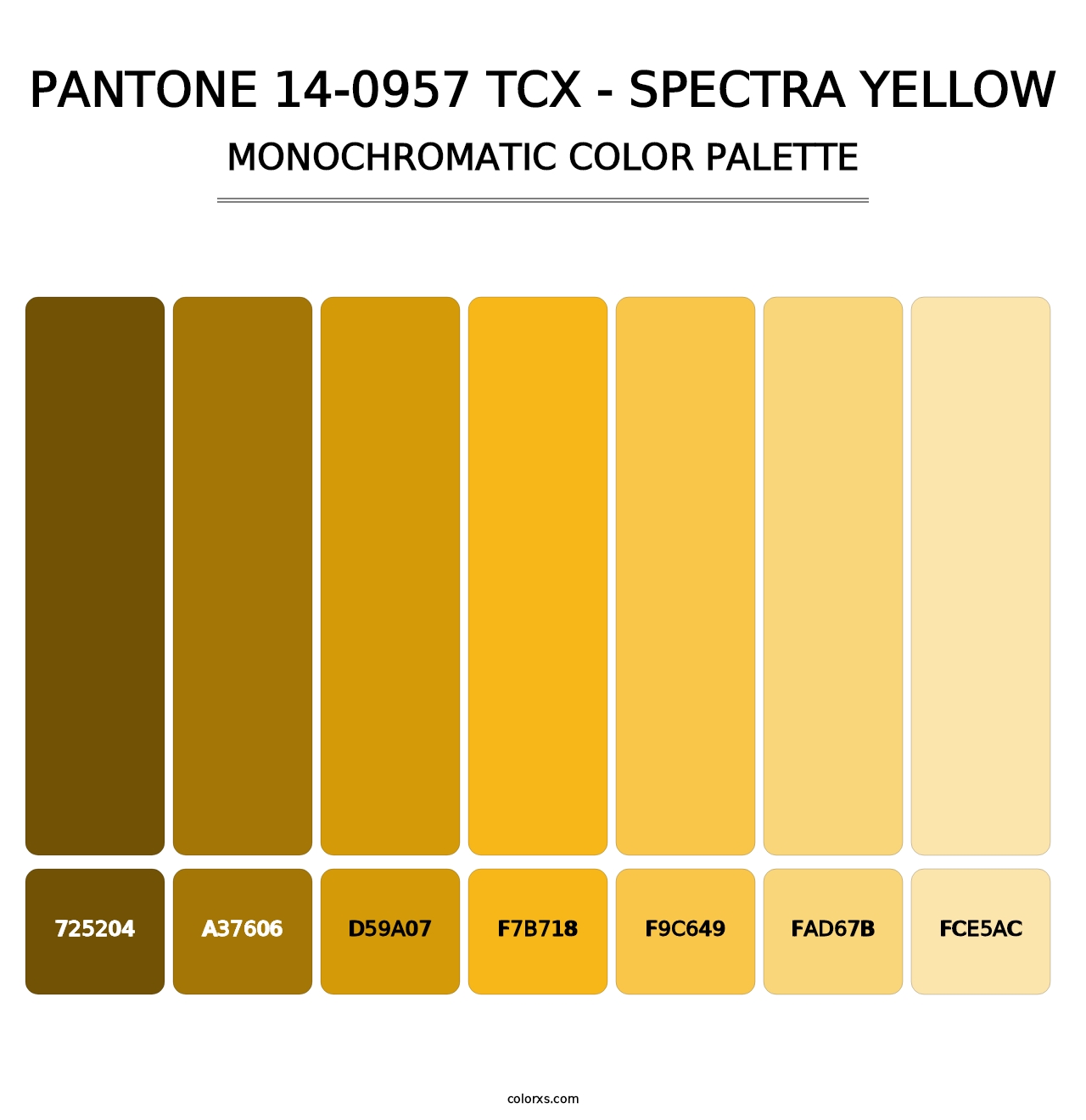 PANTONE 14-0957 TCX - Spectra Yellow - Monochromatic Color Palette
