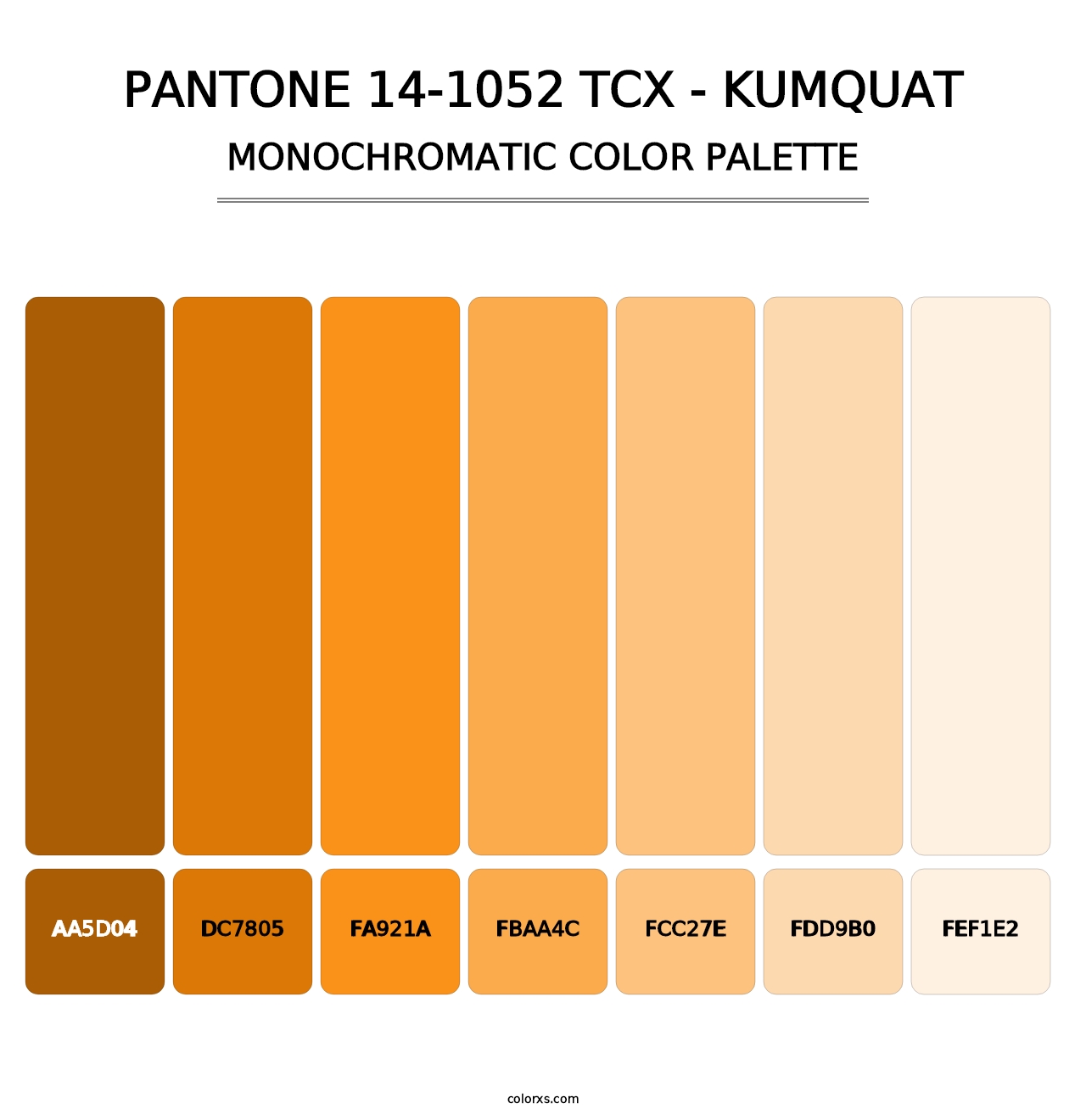 PANTONE 14-1052 TCX - Kumquat - Monochromatic Color Palette