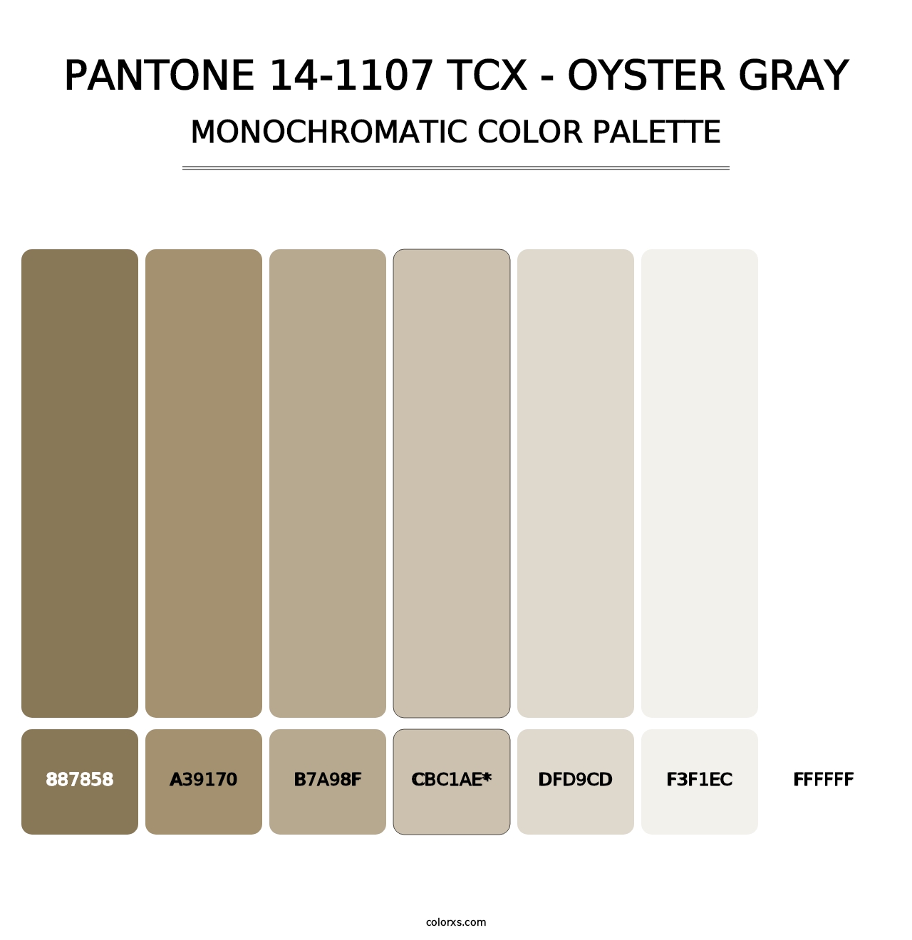 PANTONE 14-1107 TCX - Oyster Gray - Monochromatic Color Palette
