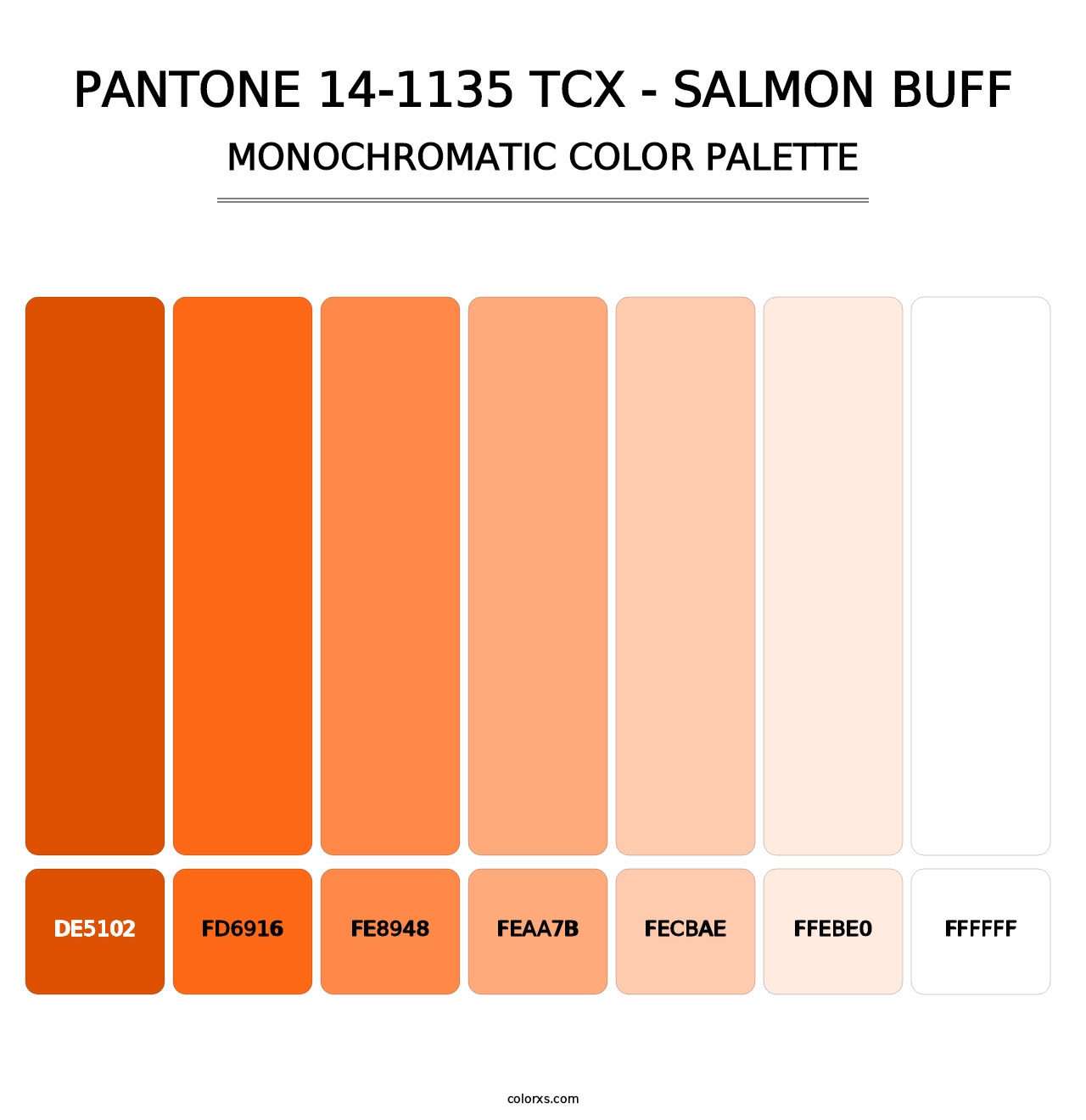 PANTONE 14-1135 TCX - Salmon Buff - Monochromatic Color Palette