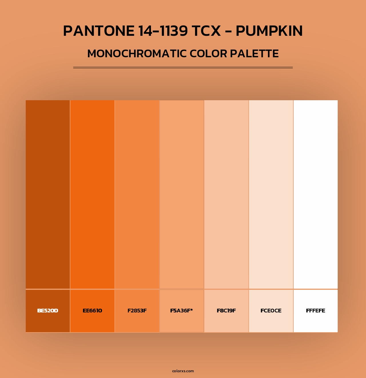 PANTONE 14-1139 TCX - Pumpkin - Monochromatic Color Palette