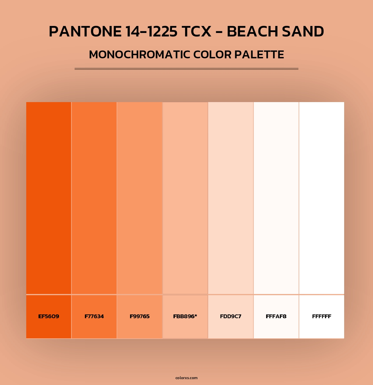 pantone-14-1225-tcx-beach-sand-color-palettes-colorxs