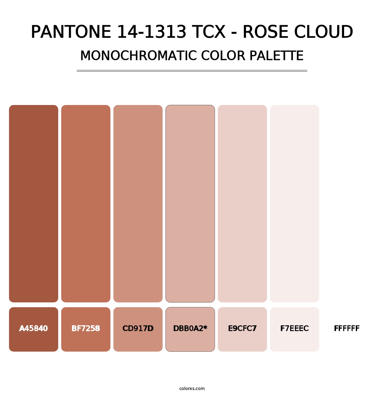 PANTONE 14-1313 TCX - Rose Cloud - Monochromatic Color Palette