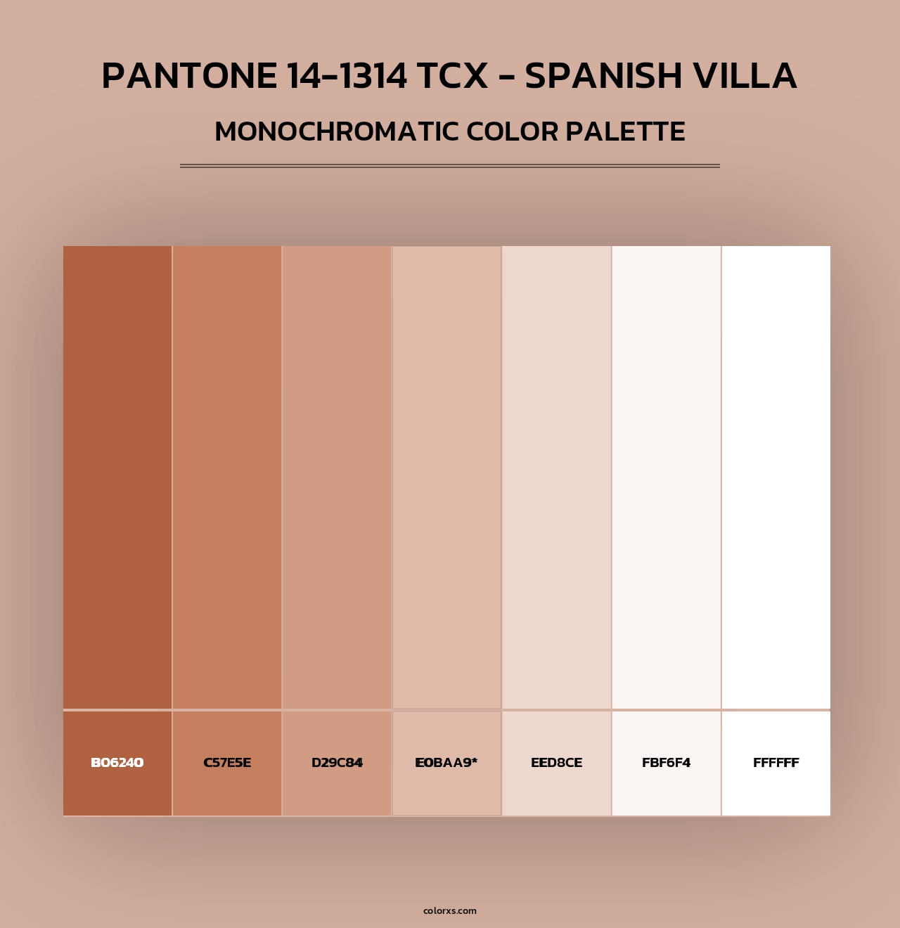 PANTONE 14-1314 TCX - Spanish Villa - Monochromatic Color Palette