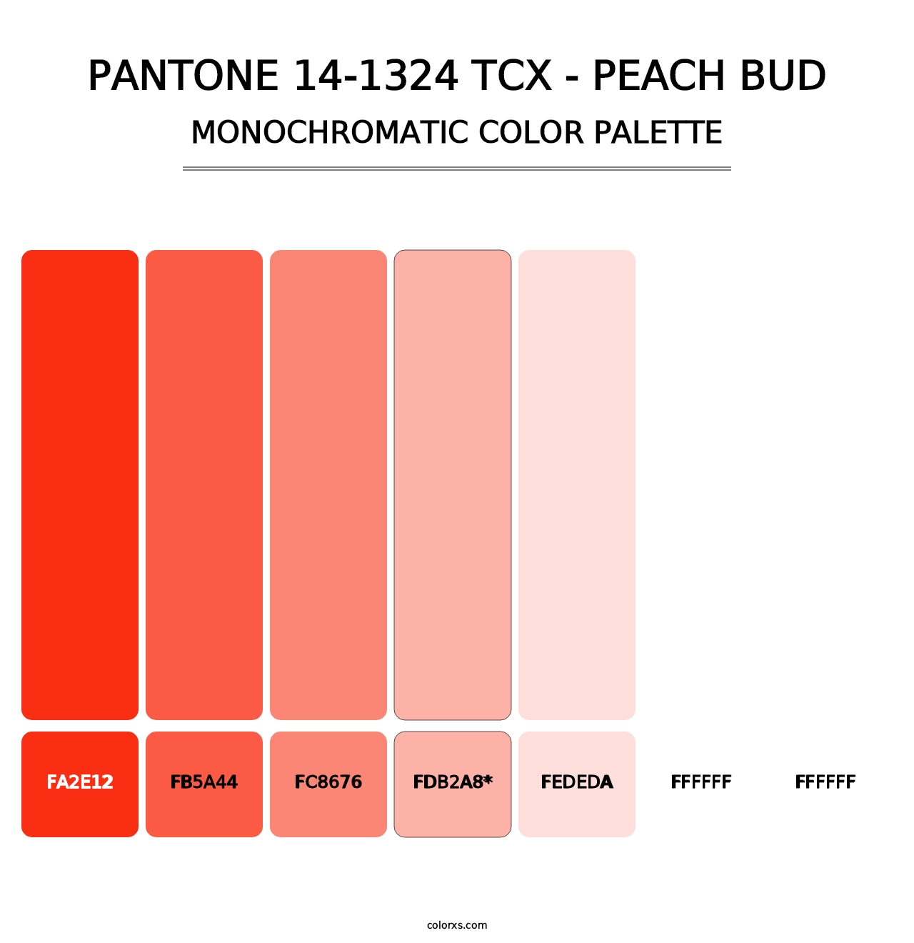 PANTONE 14-1324 TCX - Peach Bud - Monochromatic Color Palette