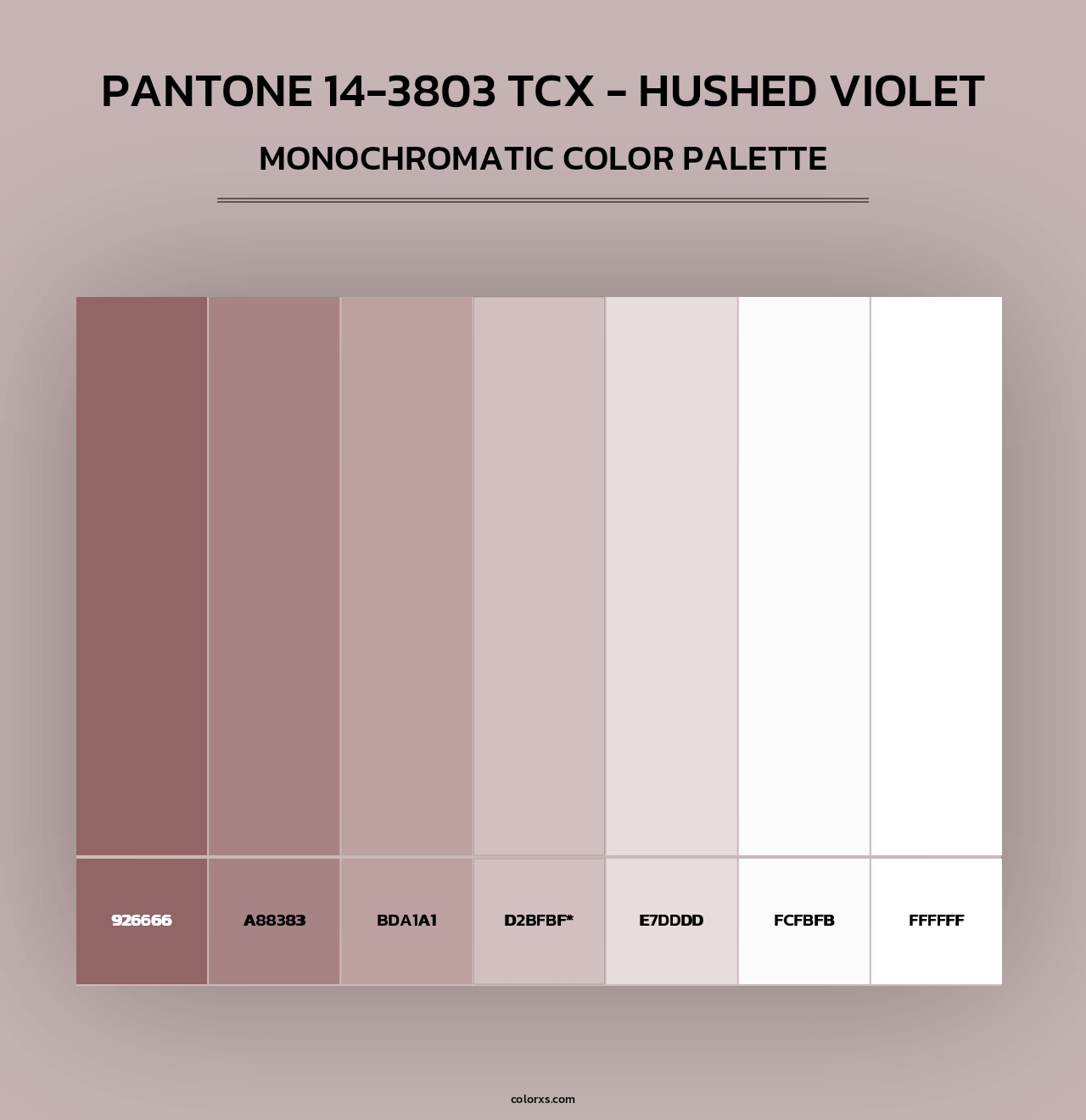 PANTONE 14-3803 TCX - Hushed Violet - Monochromatic Color Palette