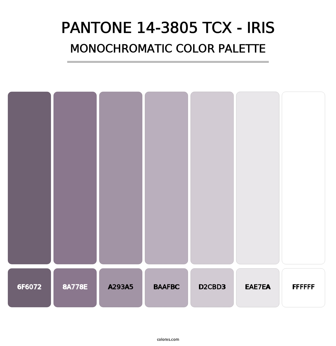 PANTONE 14-3805 TCX - Iris - Monochromatic Color Palette