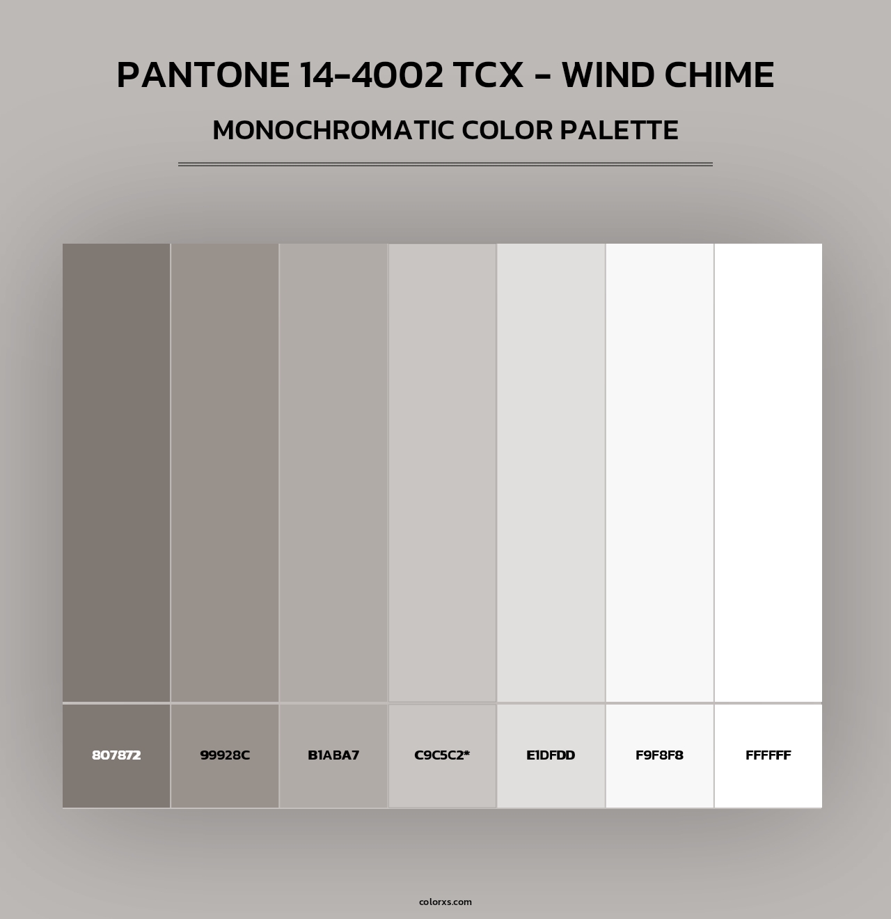 PANTONE 14-4002 TCX - Wind Chime - Monochromatic Color Palette