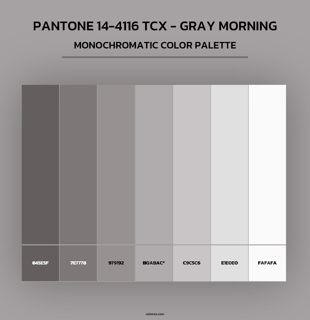 PANTONE 14-4116 TCX - Gray Morning - Monochromatic Color Palette