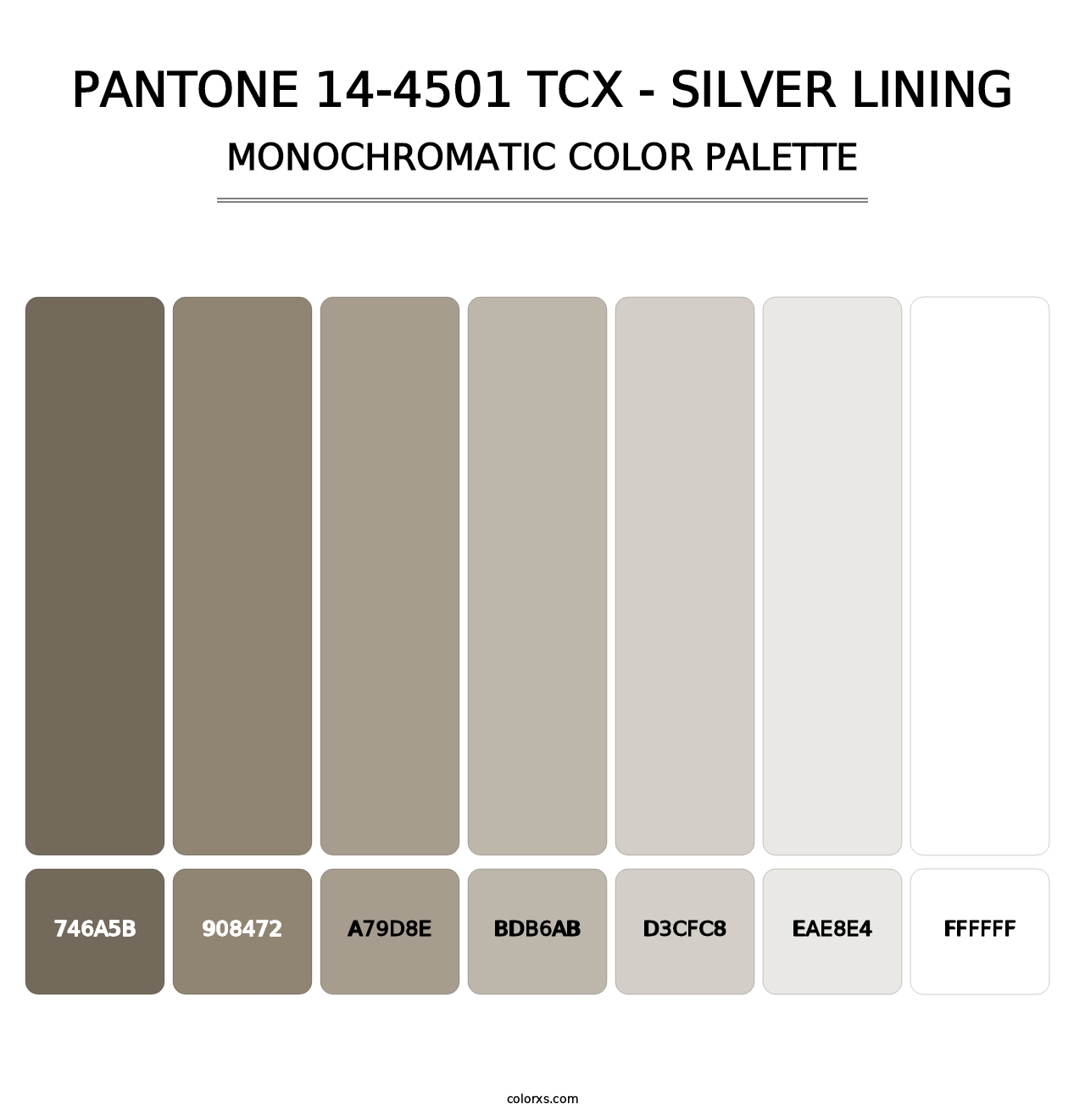 PANTONE 14-4501 TCX - Silver Lining - Monochromatic Color Palette