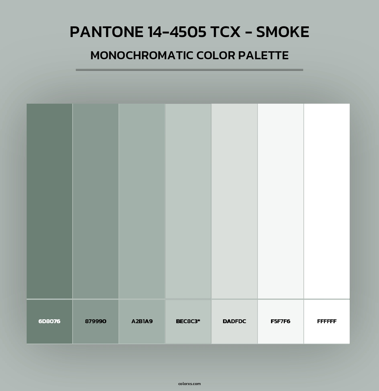 PANTONE 14-4505 TCX - Smoke - Monochromatic Color Palette