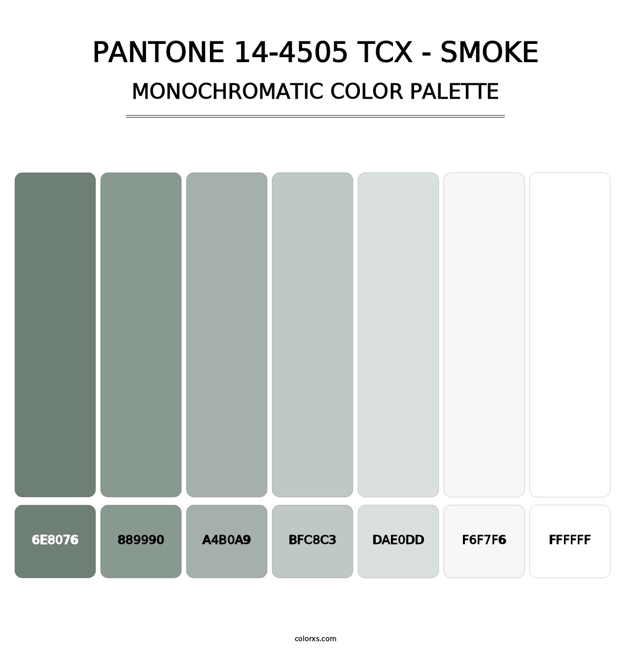 PANTONE 14-4505 TCX - Smoke - Monochromatic Color Palette