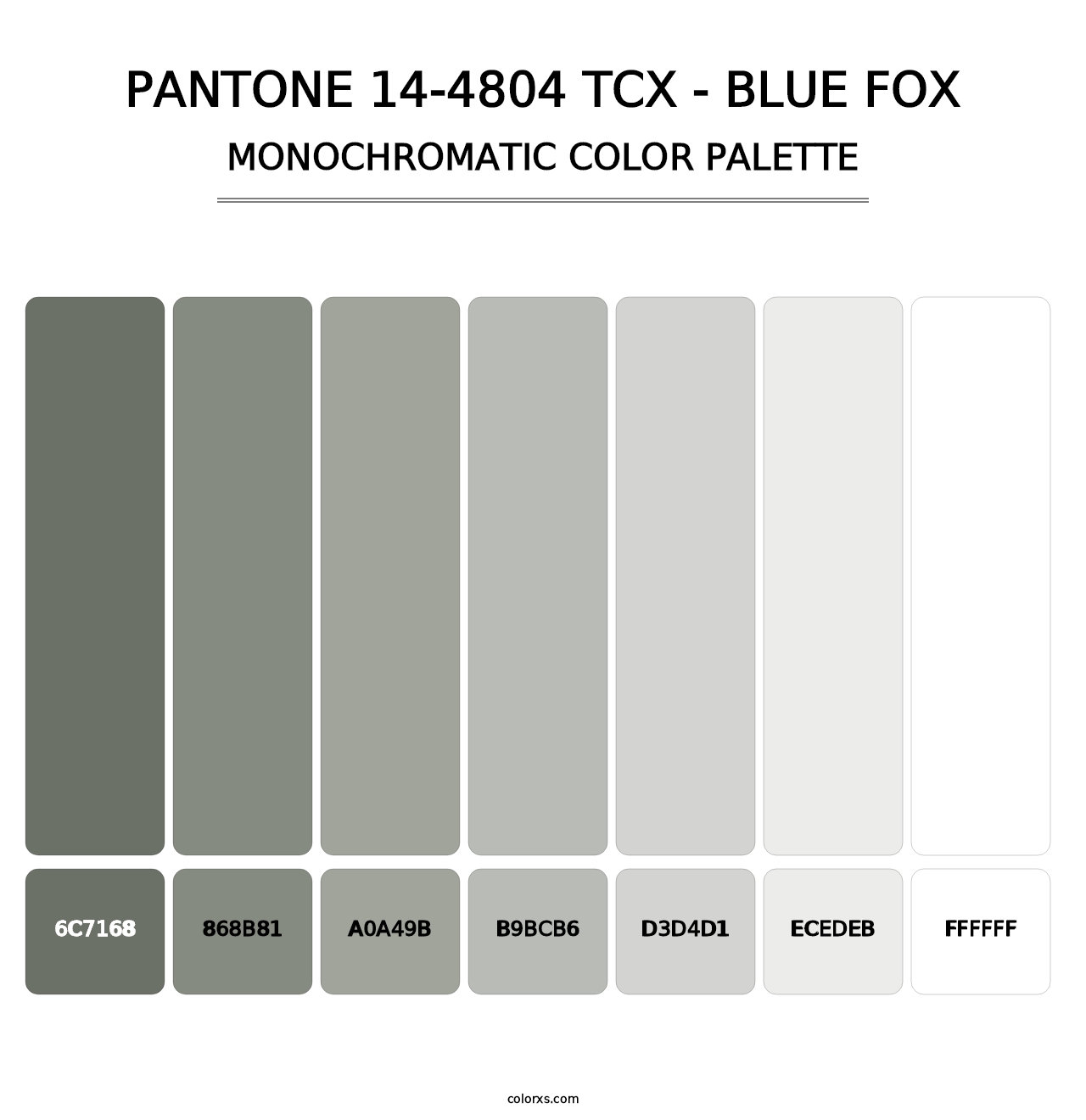 PANTONE 14-4804 TCX - Blue Fox - Monochromatic Color Palette