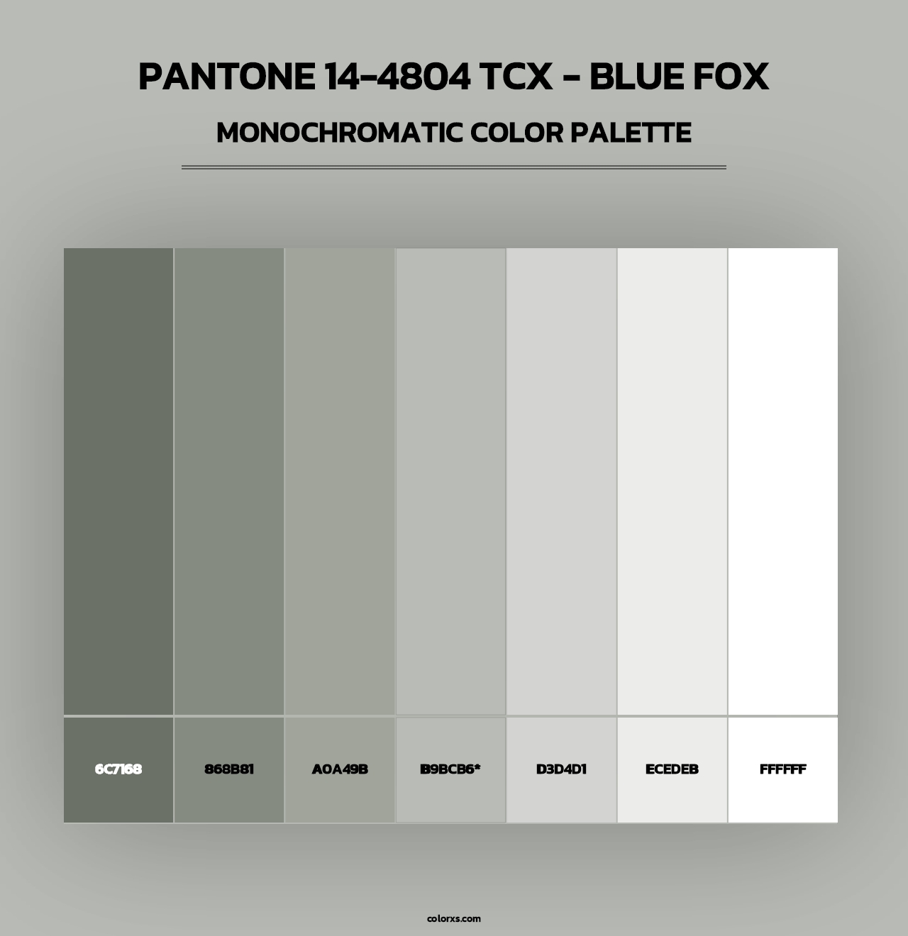 PANTONE 14-4804 TCX - Blue Fox - Monochromatic Color Palette