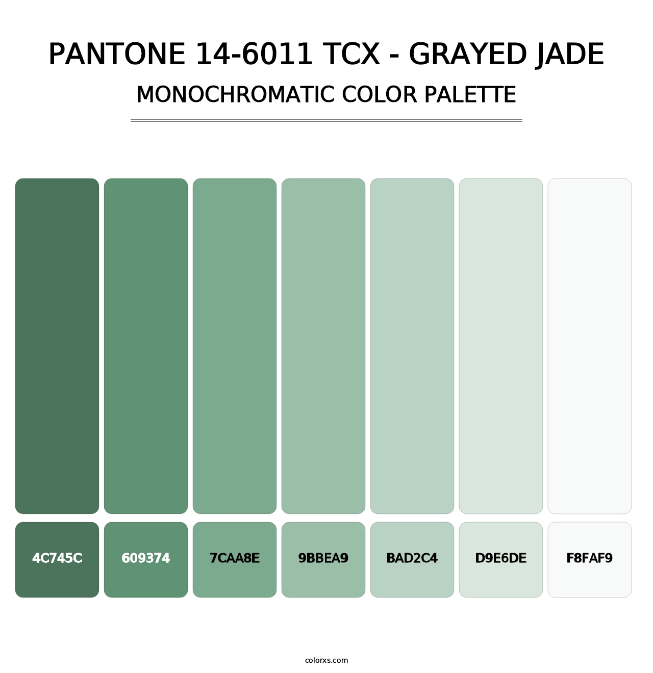 PANTONE 14-6011 TCX - Grayed Jade - Monochromatic Color Palette