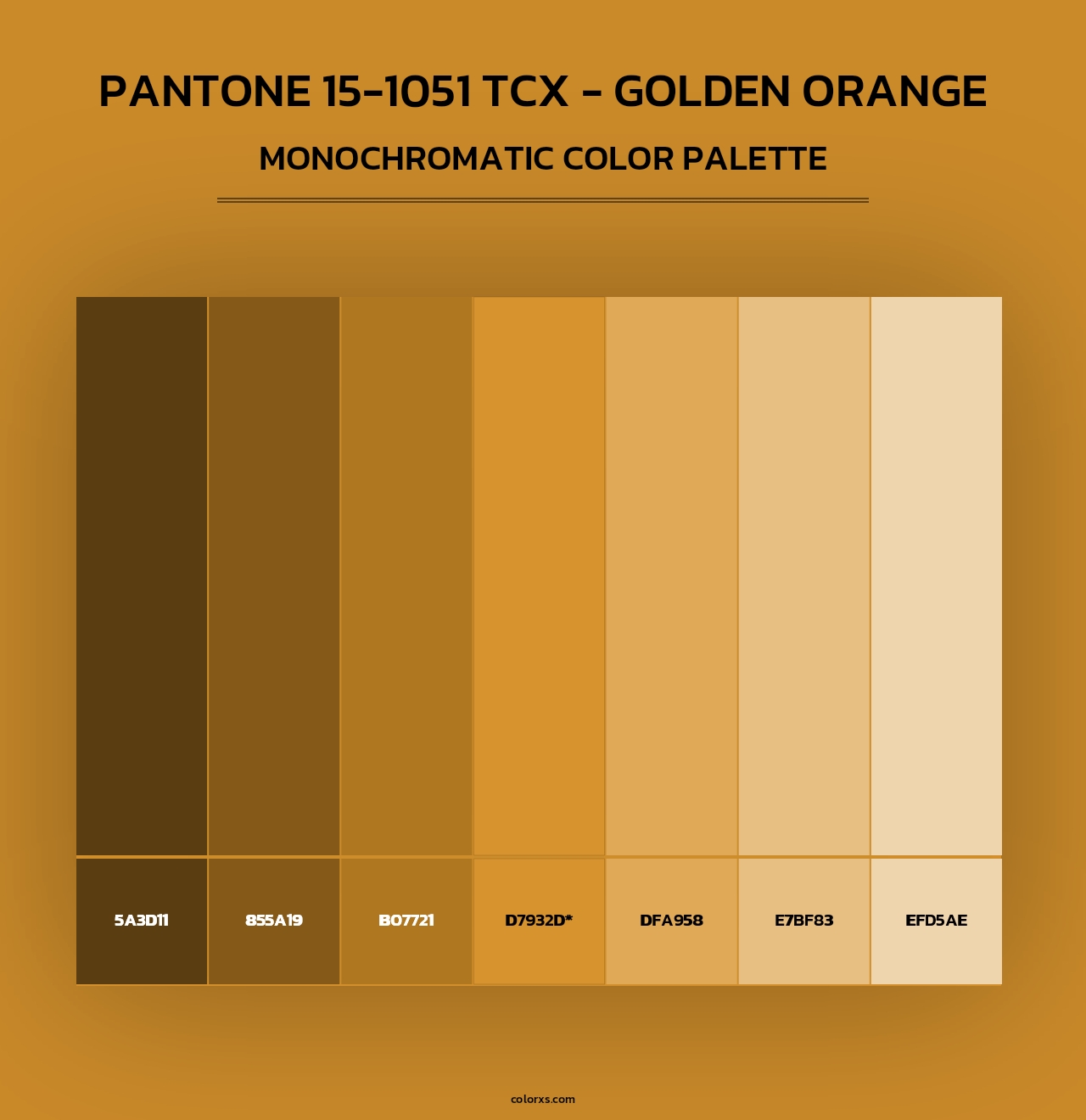 Pantone 15-1051 TCX - Golden Orange - Monochromatic Color Palette