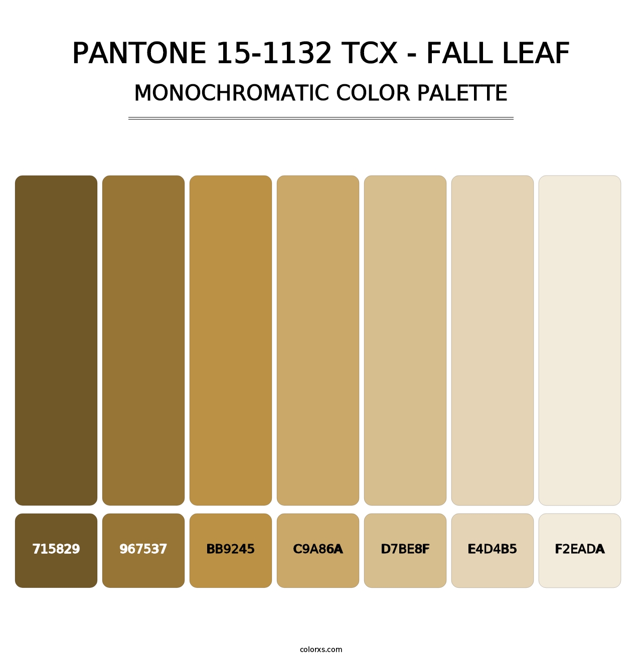 PANTONE 15-1132 TCX - Fall Leaf - Monochromatic Color Palette