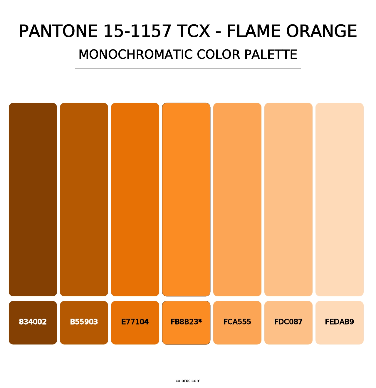 PANTONE 15-1157 TCX - Flame Orange - Monochromatic Color Palette