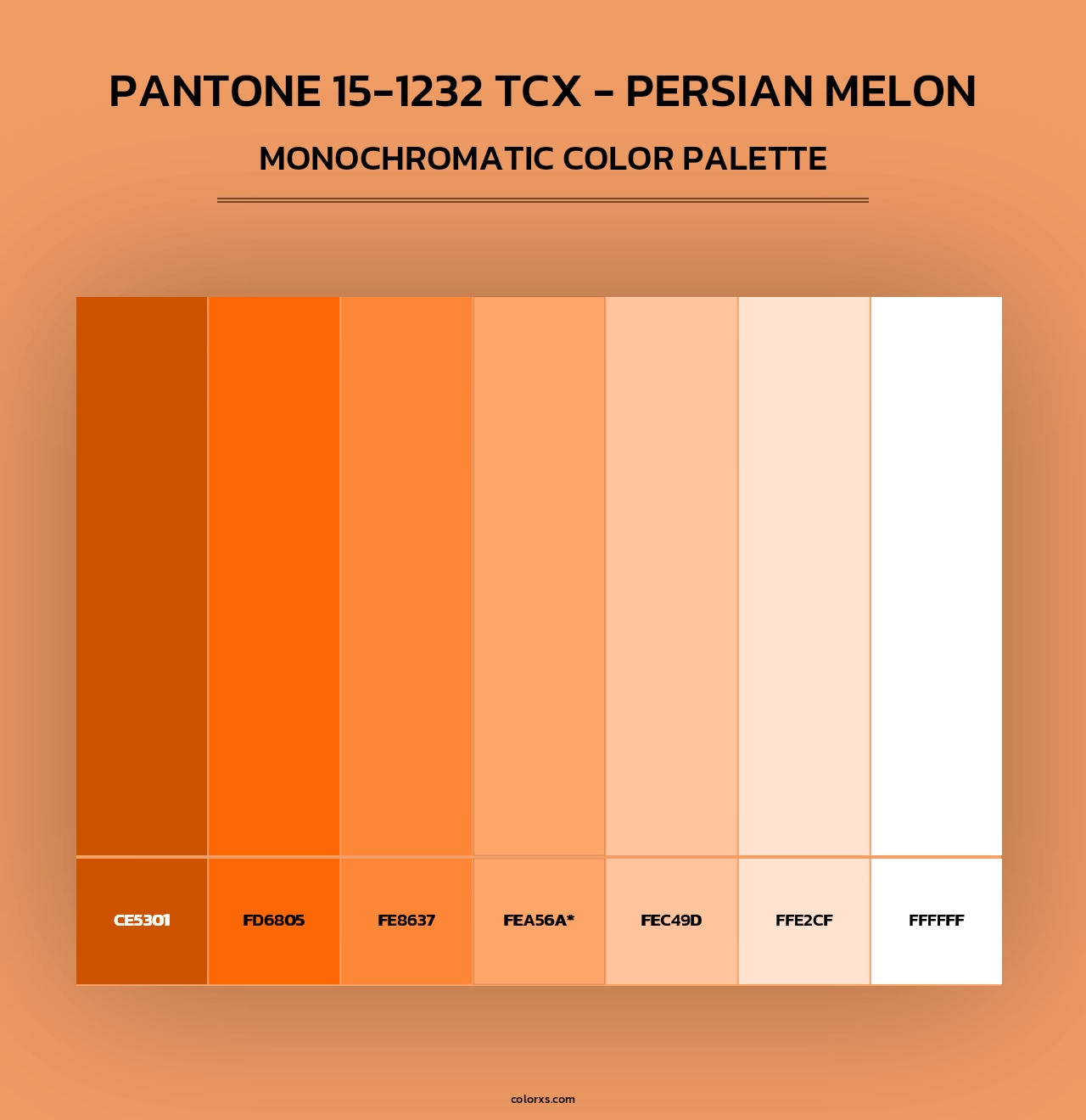 PANTONE 15-1232 TCX - Persian Melon - Monochromatic Color Palette