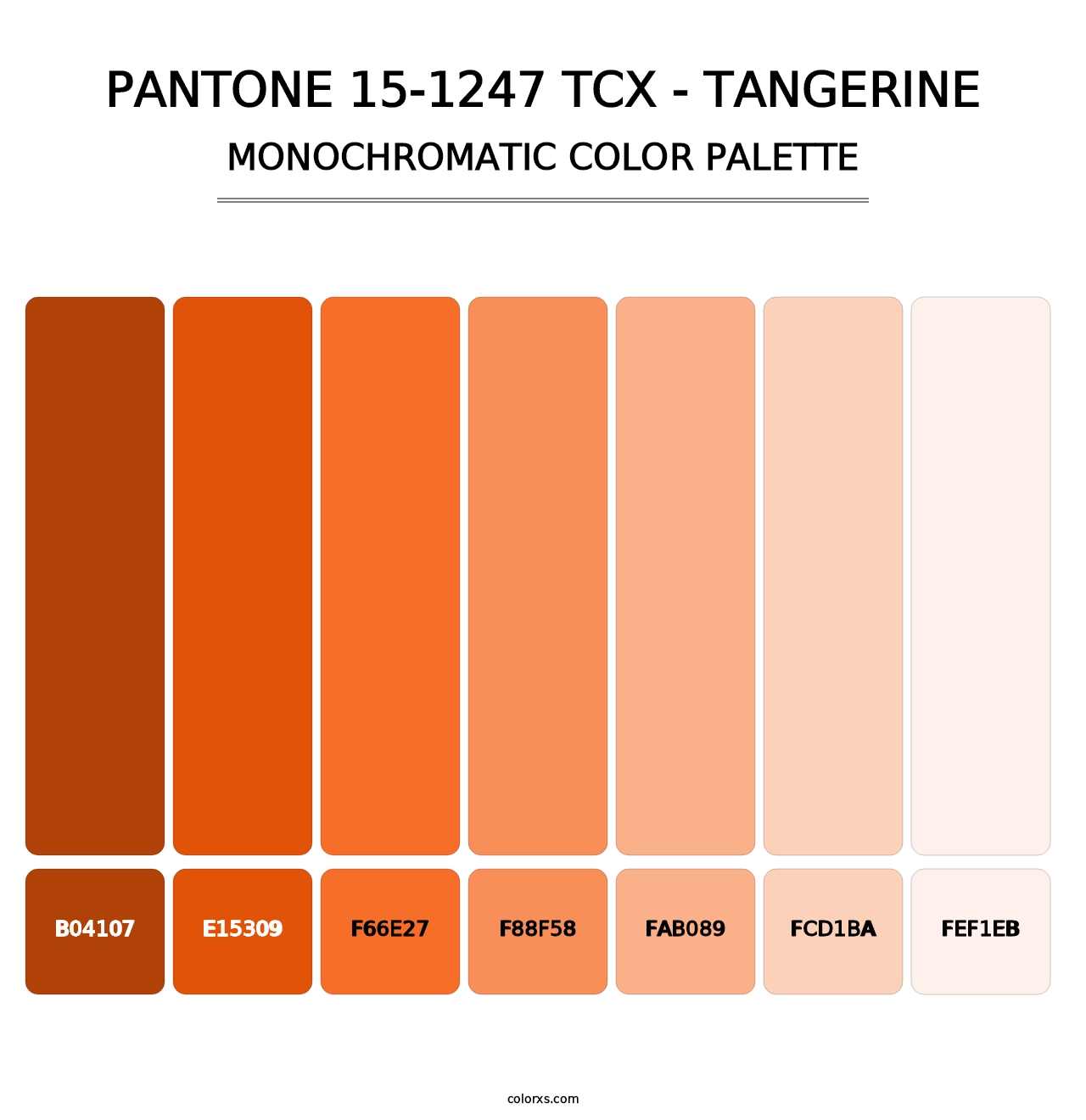 PANTONE 15-1247 TCX - Tangerine - Monochromatic Color Palette