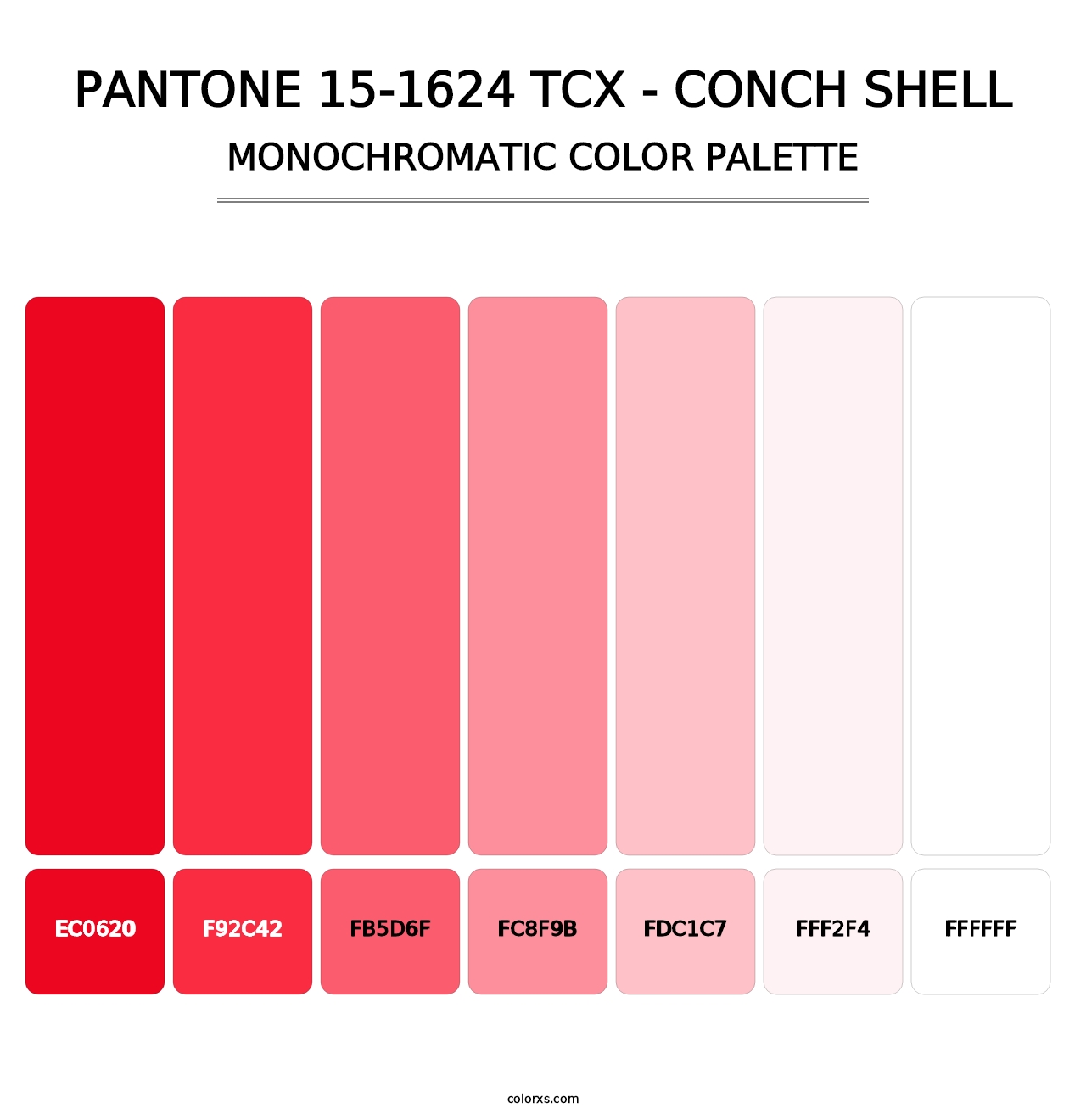 PANTONE 15-1624 TCX - Conch Shell - Monochromatic Color Palette